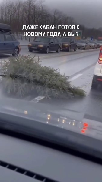 � ��, ������ � ������ ����? - 2