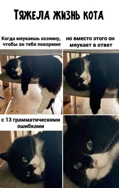   - 1  2025  18:41