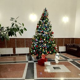 ���� ����, ������, 48 ��� - ��������� 3 ����� 2026