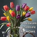 ���� ��������, ����� - ��������� 22 ������ 2026 � ������ ���� ����������