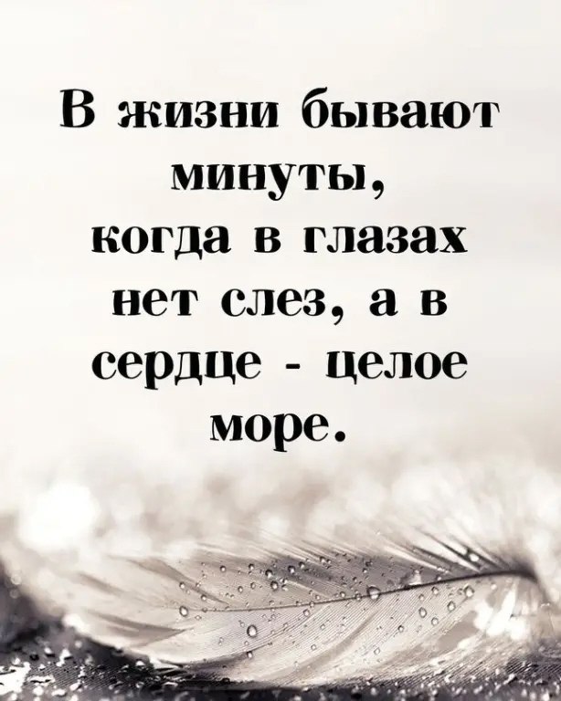 �a��e �e�c����e���o ���a��... ����� �������