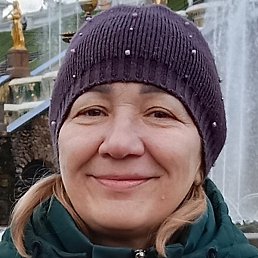 �����, �����-���������, 56 ���