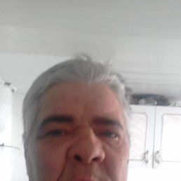 , 55, 