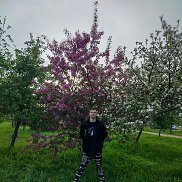 , 19 , -
