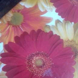 �������, ������������, 60 ���