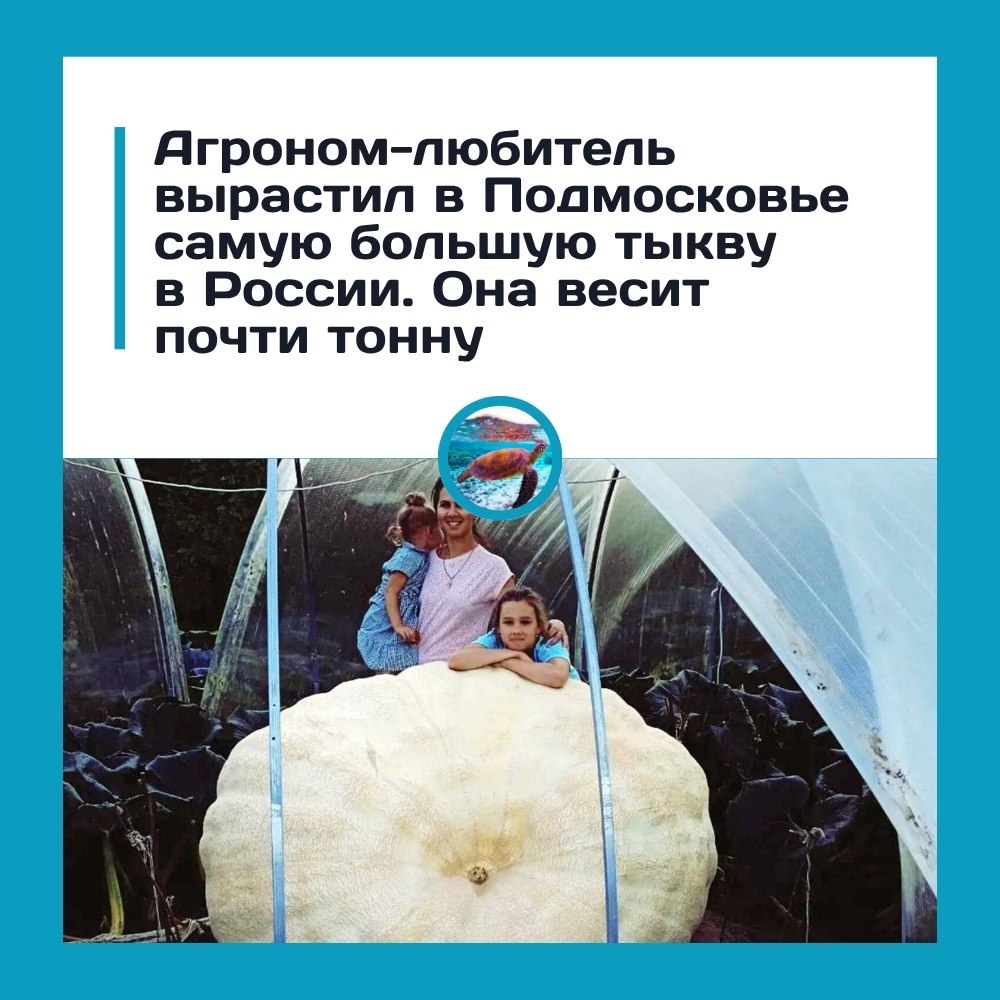 ������ �������� ���� ����� ������� �����.��������������� �� ����������� �������� ����� ������� ����� ...