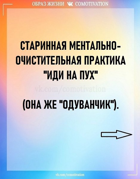 ��� ��������. �������������.