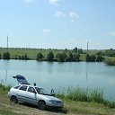 ���� � �������, �����, 56 ��� - ��������� 25 ������� 2025