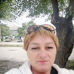 , 44, 