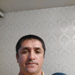 , 49 , 