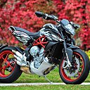 ���� �����, ����, 56 ��� - ��������� 8 ������� 2025 � ������ ����� !!!!!!�