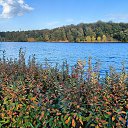 ���� Belle, ������ - ��������� 8 ������� 2025 � ������ ���� ����������