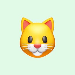 �����, ������, 25 ���