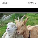 ���� ���, ��������, 55 ��� - ��������� 10 ��� 2026 � ������ ���� ����������