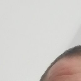 �������, ������, 41 ���