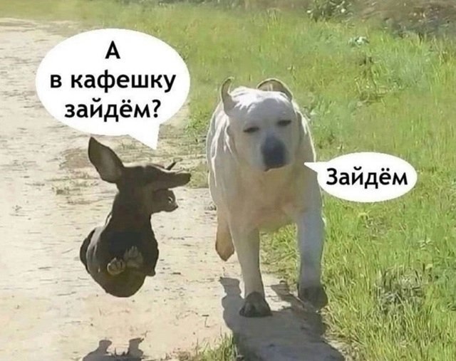 ,    
