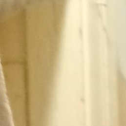 �������, ���������, 38 ���