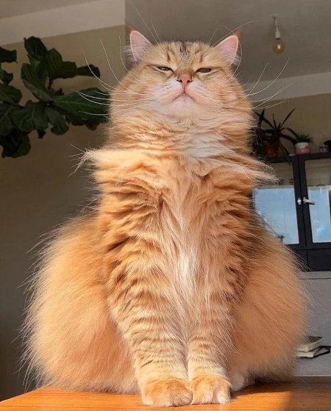  - 1  2025  10:50 - 3