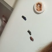 , 36 , -