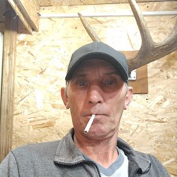 , 43, -