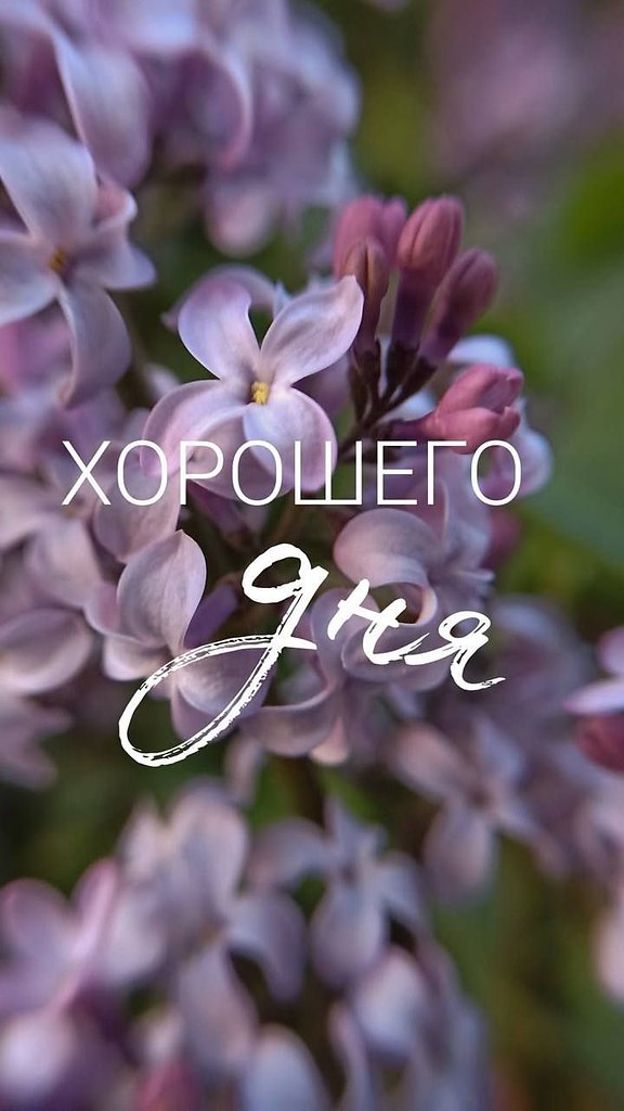   ,    . - 25  2025  13:07 - 2