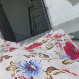 Yadav, �����������, 21 ���
