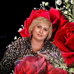 ���� �����, ���, 63 ���� - ��������� 24 ���� 2024