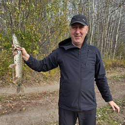 , 50, 