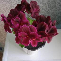 , , 58 