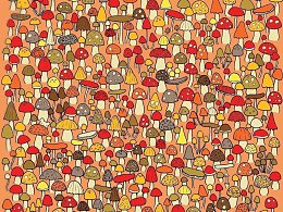 �����������