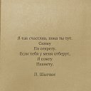 ���� ����, �����������, 50 ��� - ��������� 15 ����� 2026 � ������ ������ ��������