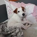 ���� ��������, ������ ��������, 62 ���� - ��������� 23 ������ 2025 � ������ ������ ��������