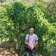 ������, 38 ���, ������