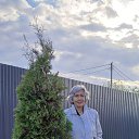 ���� �����, ������, 75 ��� - ��������� 9 ��� 2025 � ������ ���� ����������