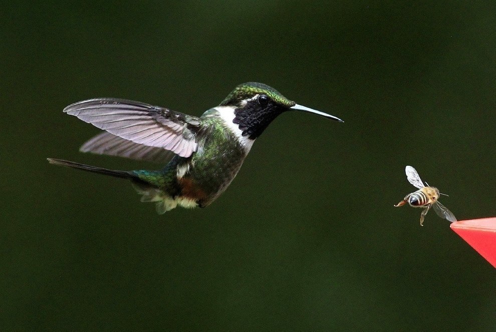 ������ � ����� �����, ����������� �� ���� � �� ����������. ���� ����� � ��� �������, � ���� ...