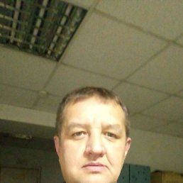 ������, 40 ���, ������������