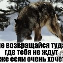 ���� ����, ����������, 45 ��� - ��������� 7 ������� 2024 � ������ ���� ����������