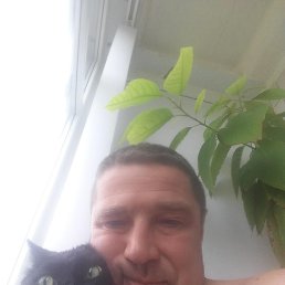 ��������, 49 ���, ��������