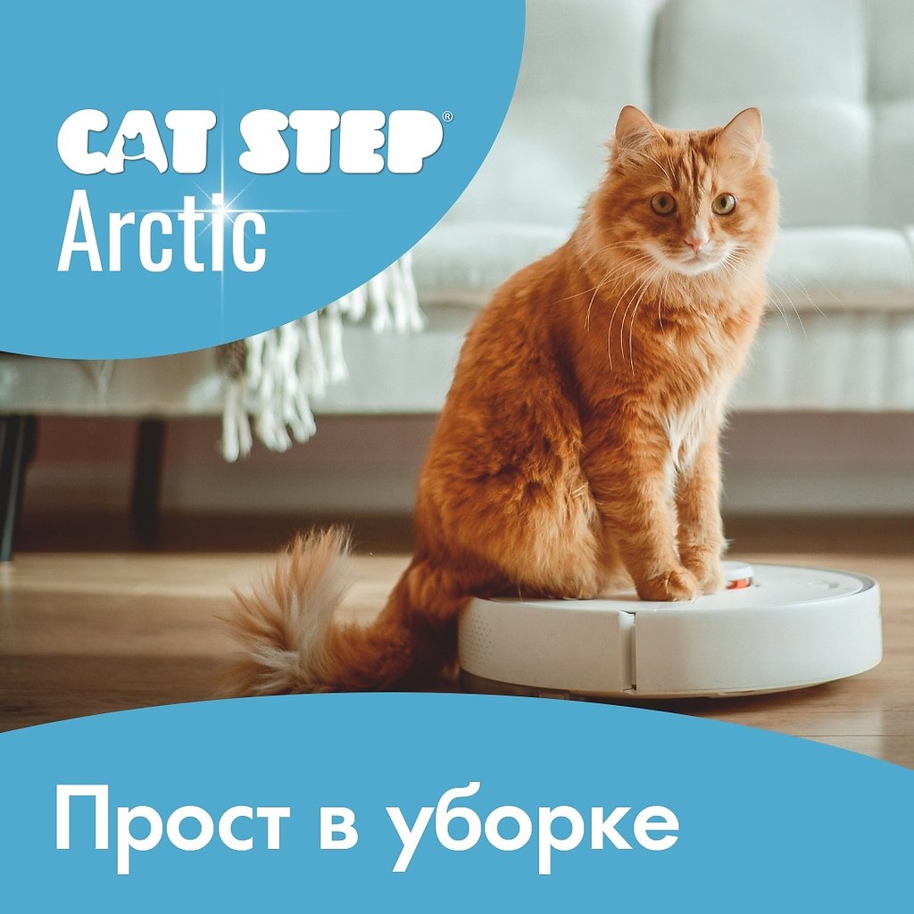     CAT STEP Arctic?   : https://fotostrana.ru/away?to=/sl/Zek - 2