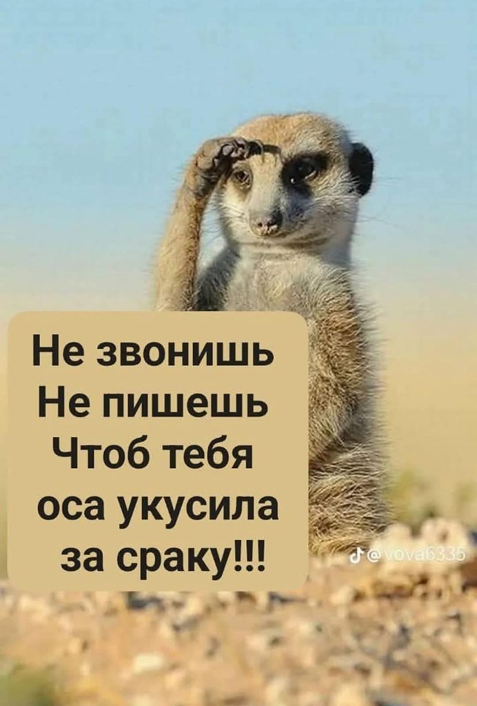     !))