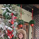 ���� ����, ��������� - ��������� 1 ������� 2026