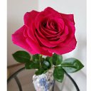 ���� ��������, �����, 53 ���� - ��������� 25 ����� 2026 � ������ ���� ����������