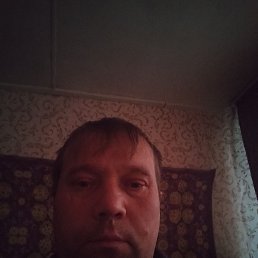 �����, 40 ���, ����