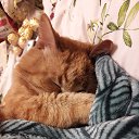���� ��������, ������, 23 ���� - ��������� 13 ����� 2026 � ������ ������ ��������