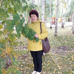 ����, ������, 66 ���