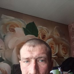 ���������, 38 ���, �������