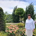 ���� ��������, ������-��-����, 72 ���� - ��������� 9 ������� 2025 � ������ ���� ����������