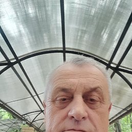 ����, 66 ���, ������