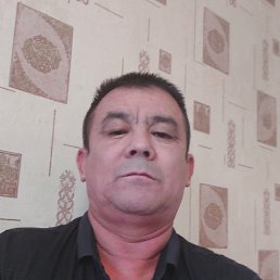 ���� ��������, ��������, 48 ��� - ��������� 14 ������� 2024