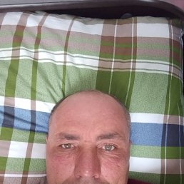 , 40 ,  